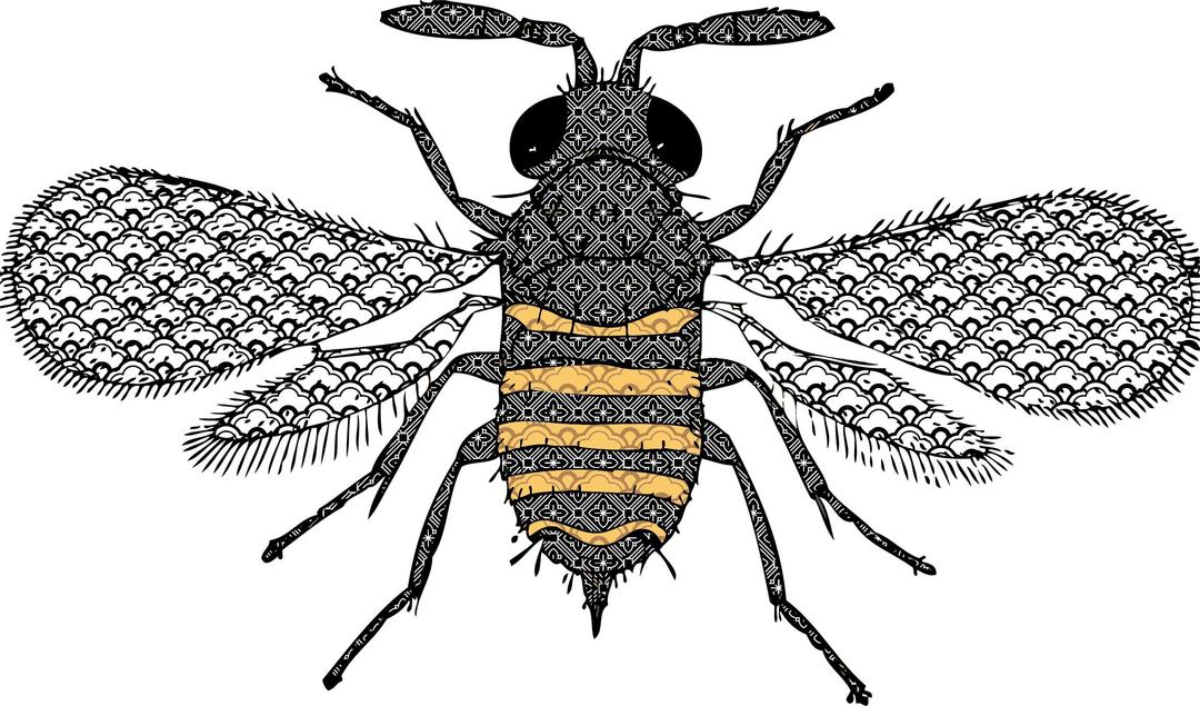 Very Detailed Bee png transparent