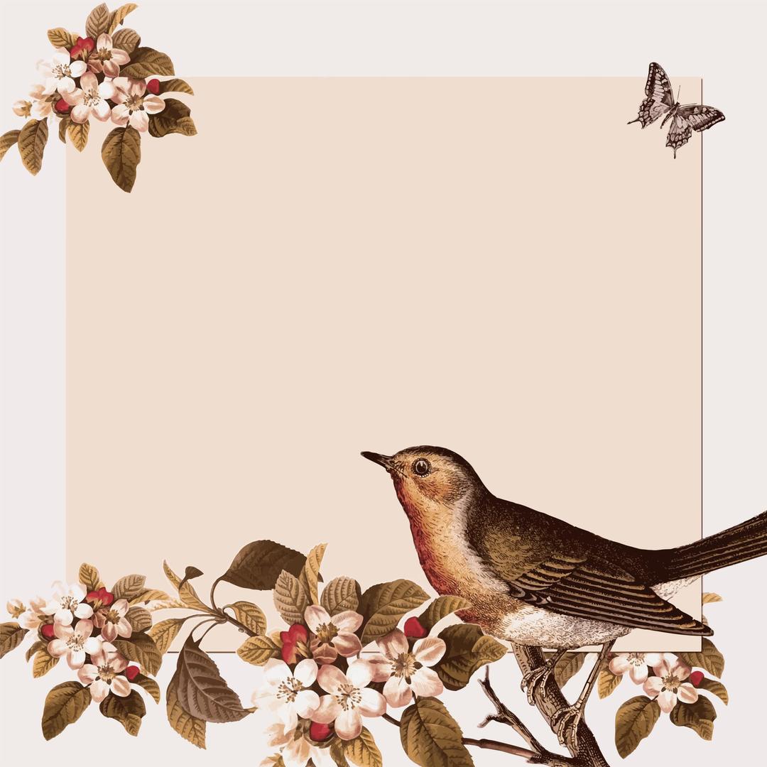 Vintage Bird And Floral Background png transparent