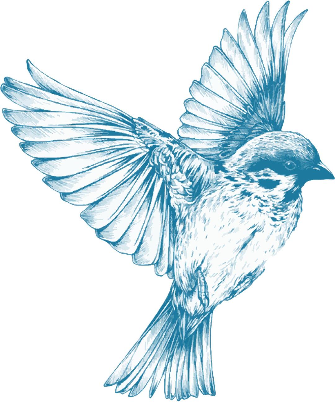 Vintage Blue Bird png transparent