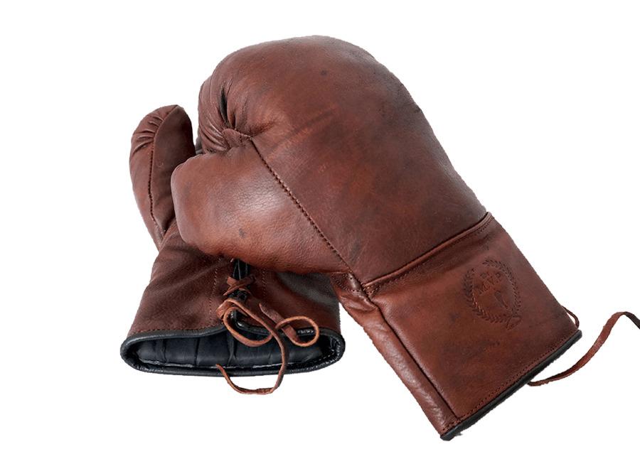 Vintage Boxing Gloves png transparent
