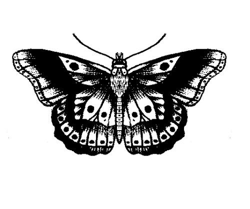Vintage Butterfly Tattoo png transparent