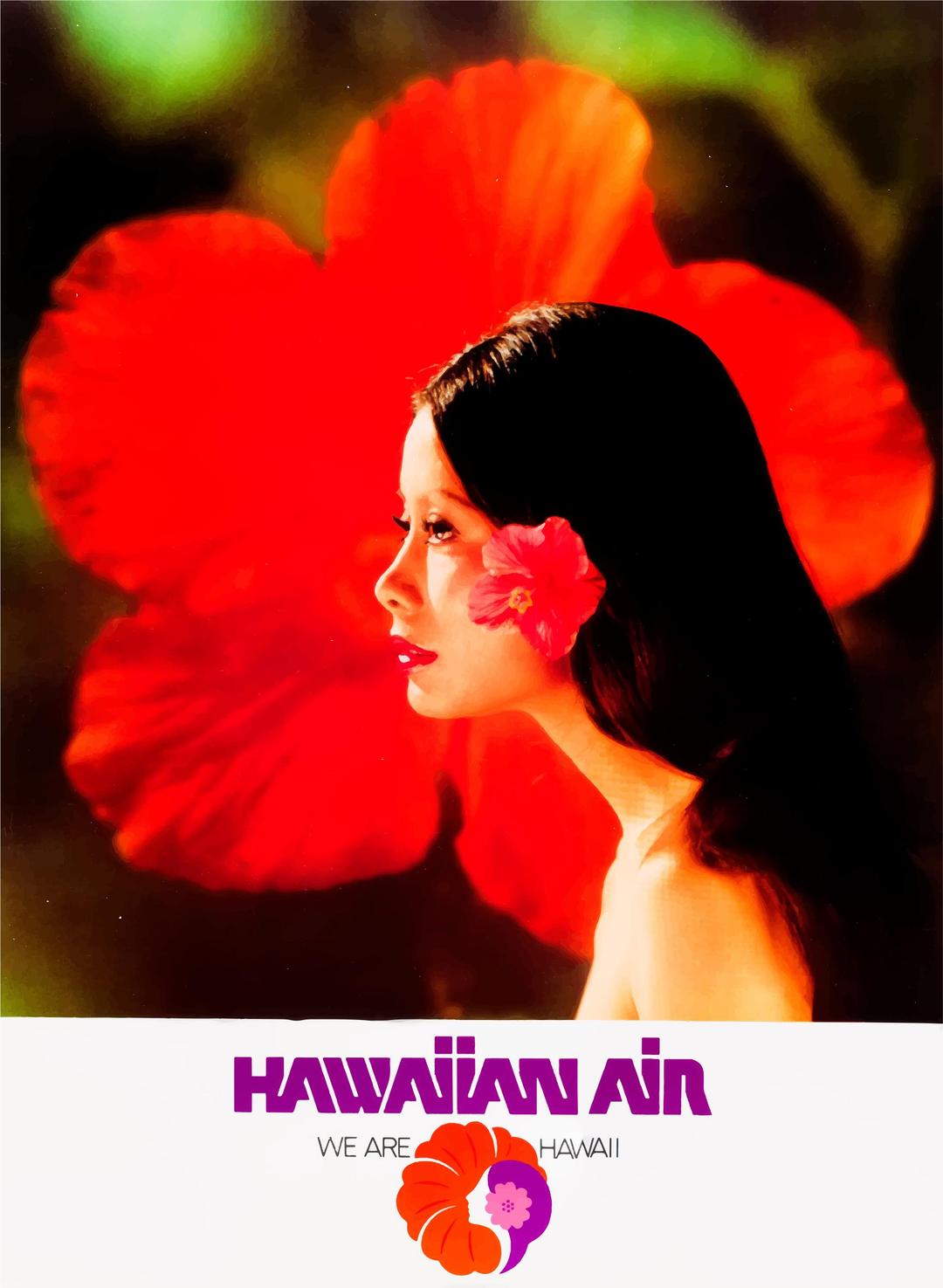 Vintage Travel Poster Hawaii png transparent