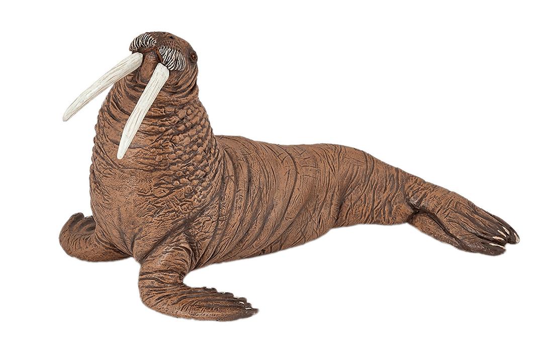 Walrus Figurine png transparent
