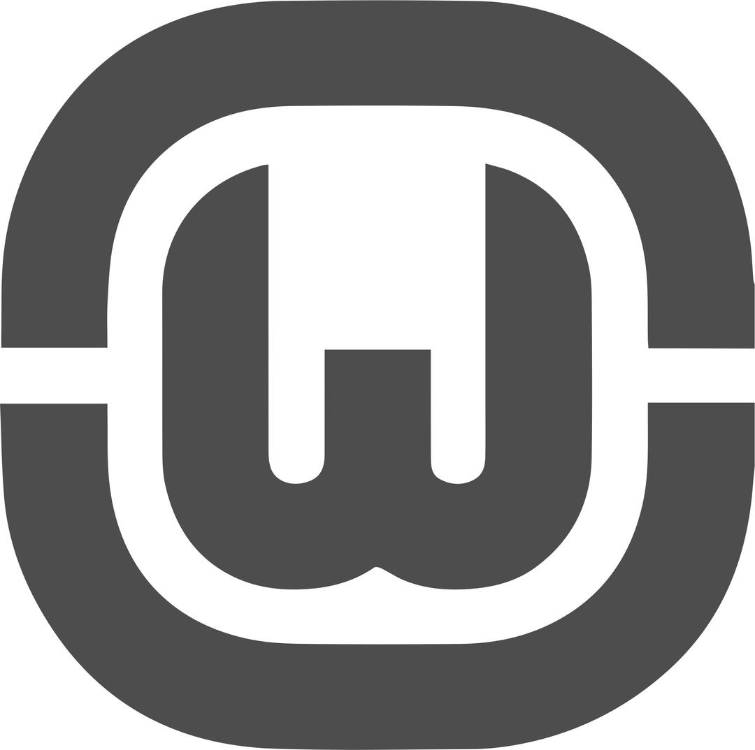 Wamp Server Logo png transparent