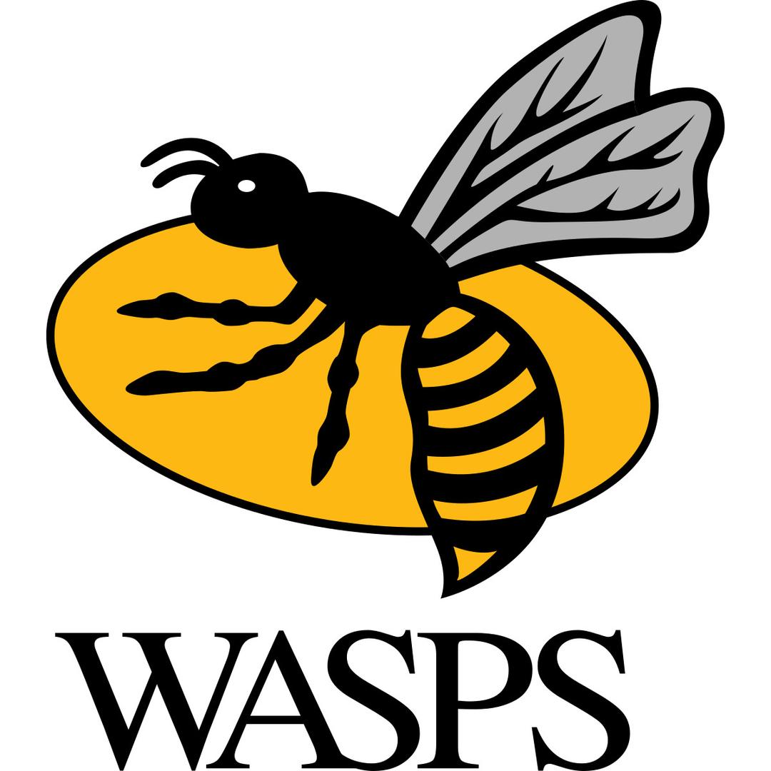 Wasps Rugby Logo png transparent