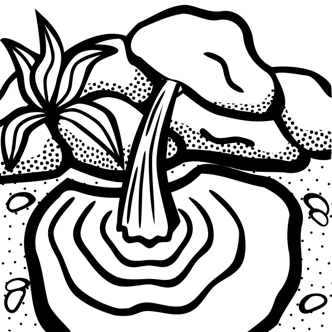 water spring - lineart png transparent