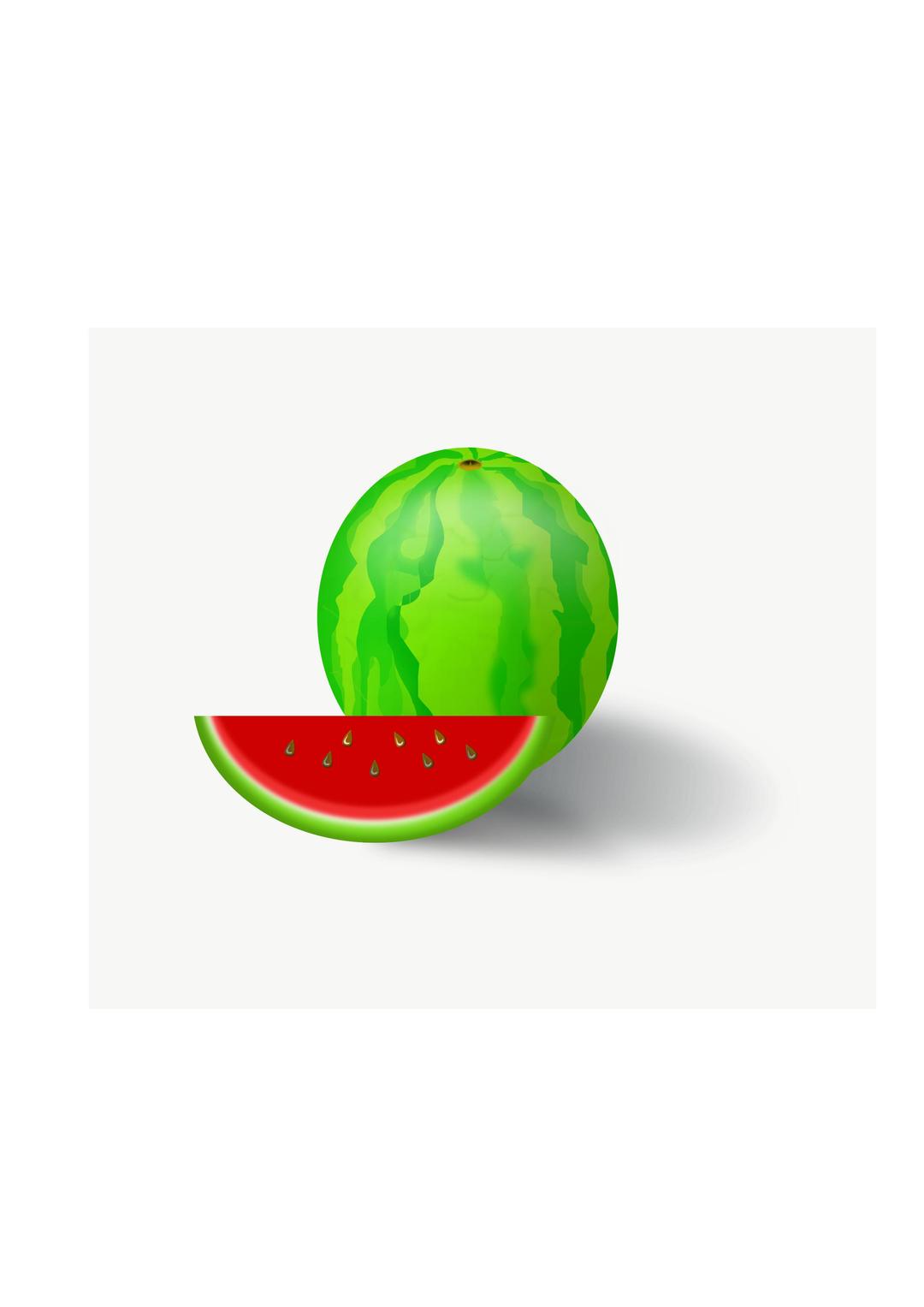 Watermelon vector fruit png transparent