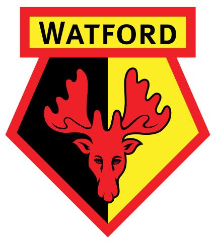 Watford Fc Logo png transparent