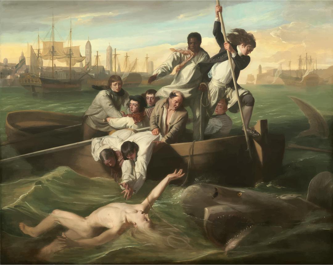 Watson And The Shark 1778 png transparent