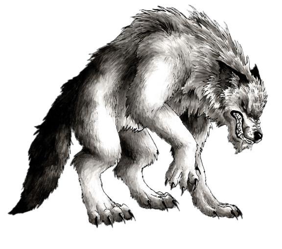Werewolf Drawing png transparent