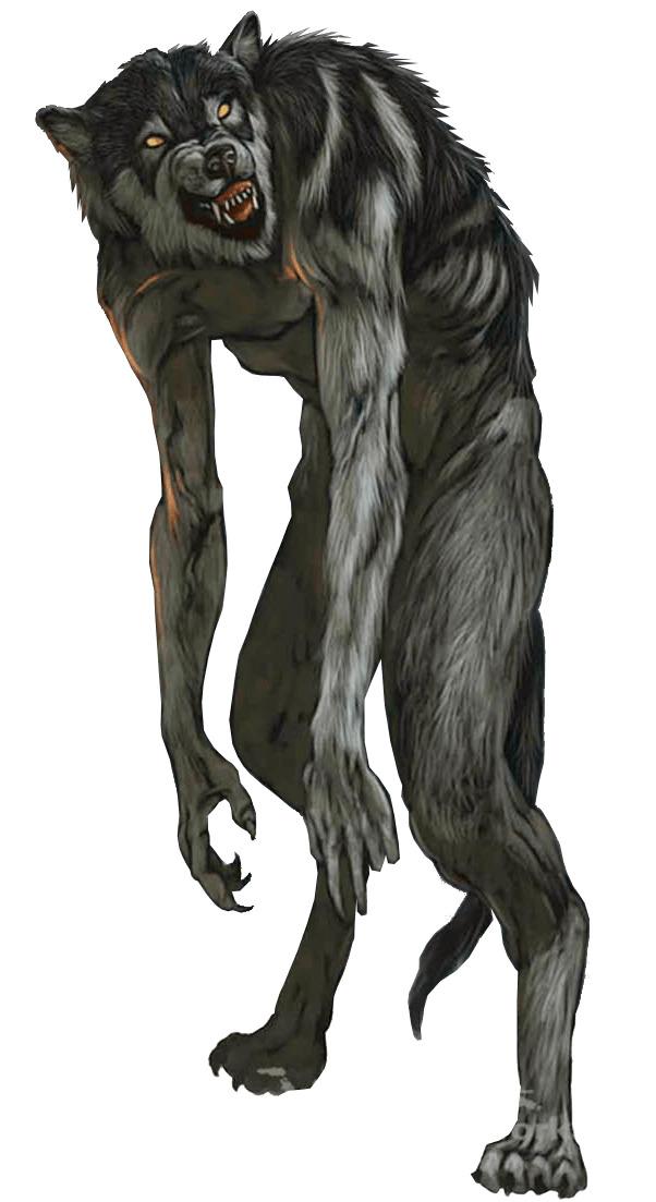 Werewolf With Long Front Paws png transparent
