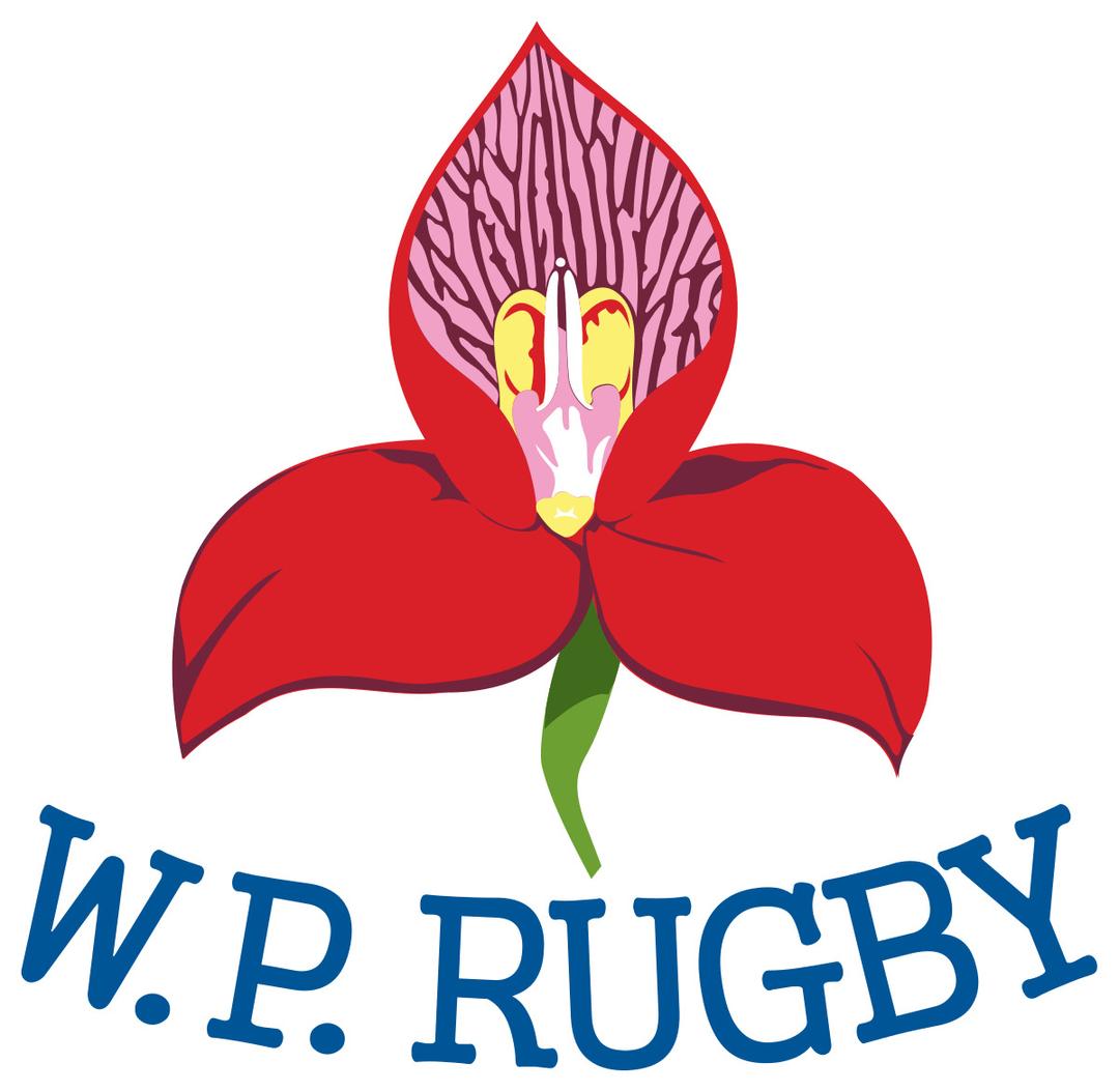 Western Province Rugby Logo png transparent