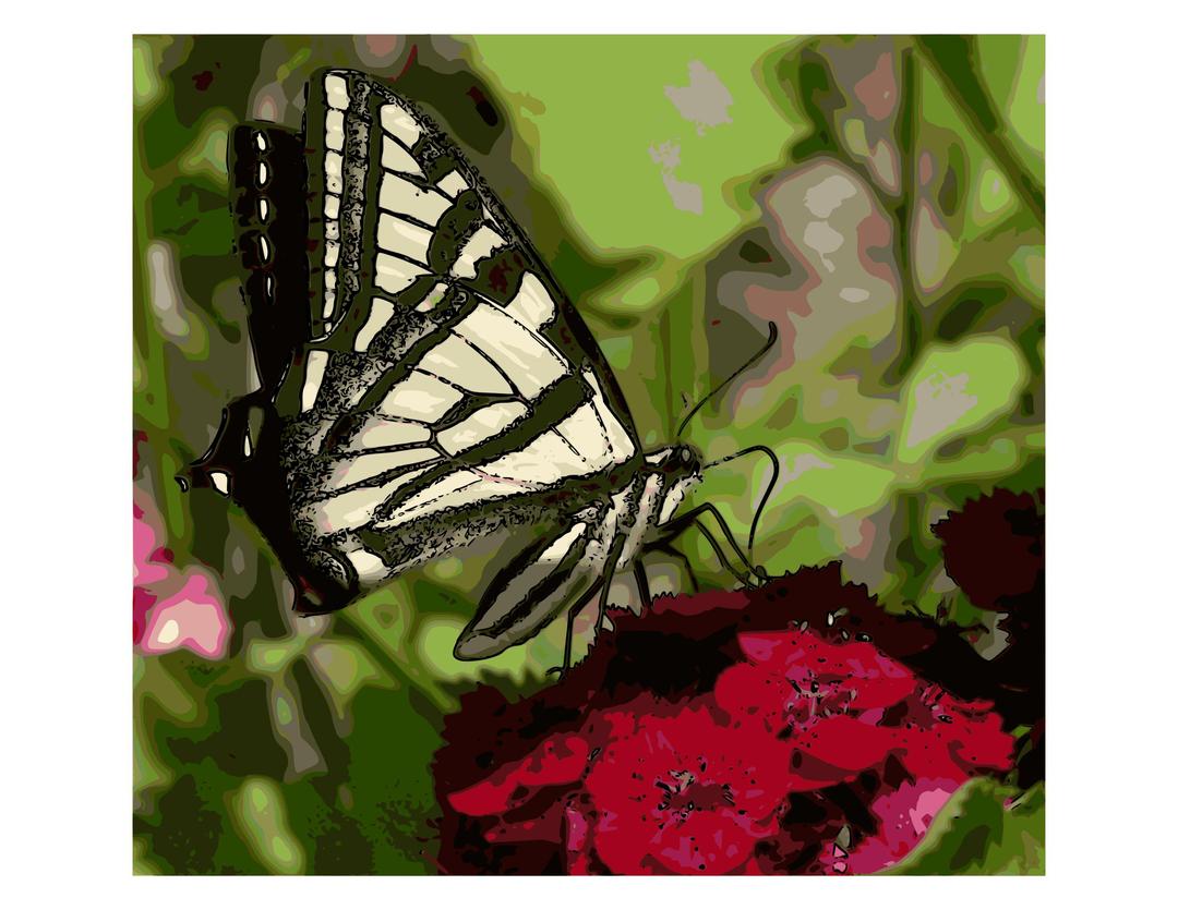 Western Tiger Swallowtail Butterfly png transparent