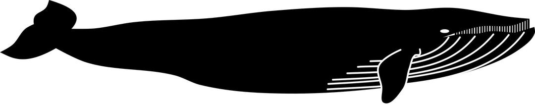 Whale by Rones png transparent