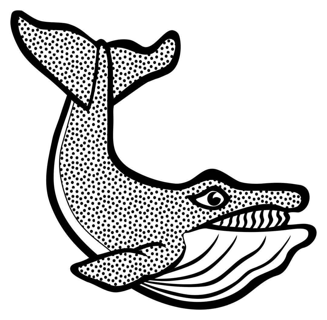 whale - lineart png transparent