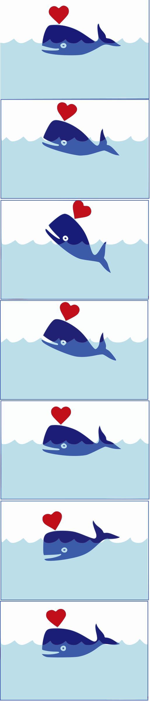 Whale-animation-SMIL png transparent