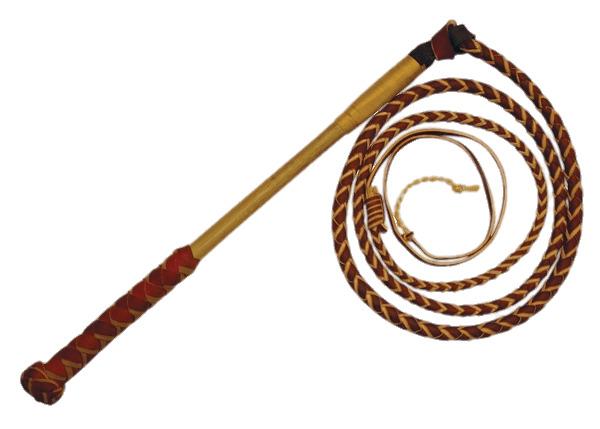 Whip With Long Handle png transparent