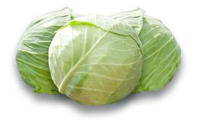 White Cabbage png transparent