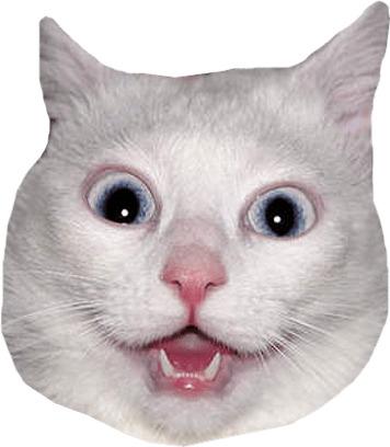 White Cat Head Meme png transparent