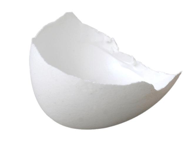 White Eggshell png transparent