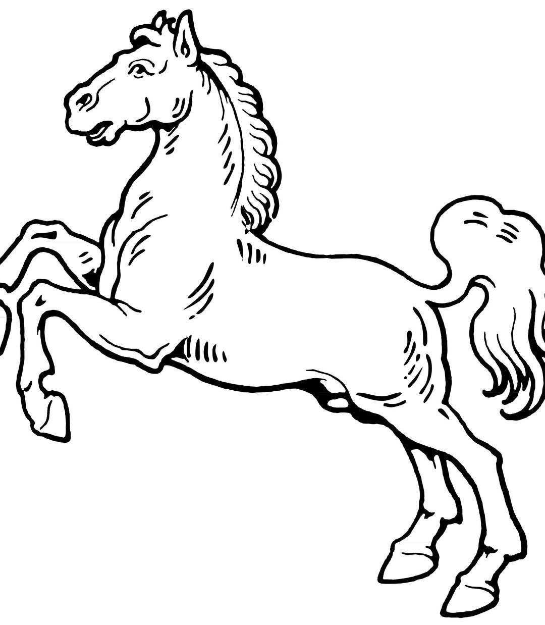 White Horse png transparent