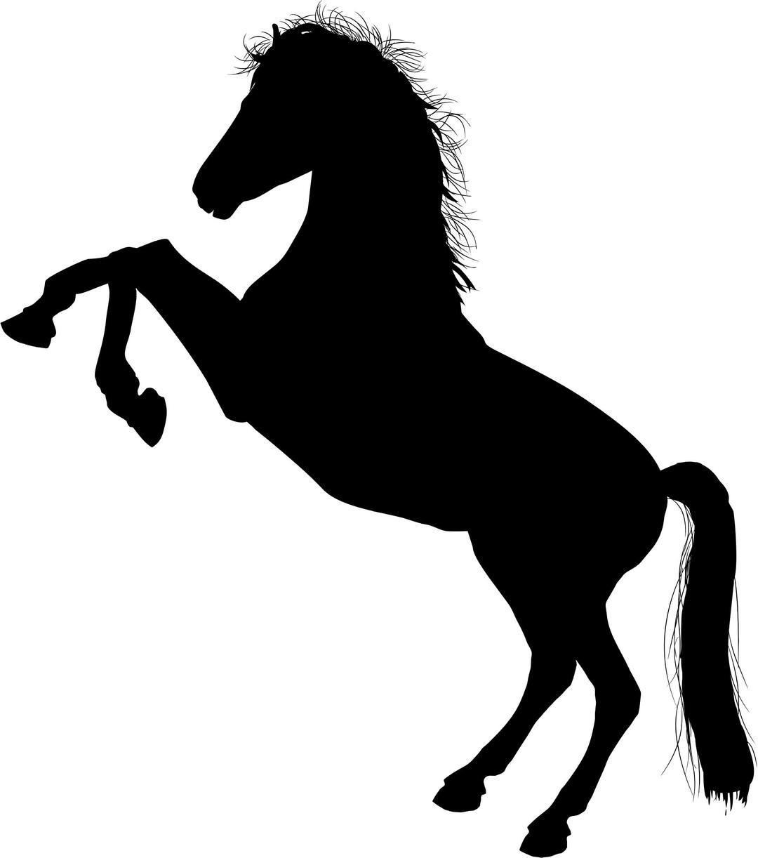 White Horse Silhouette png transparent