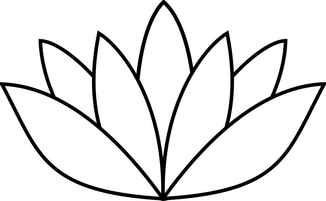 white lotus flower png transparent