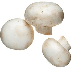 White Mushroom png transparent