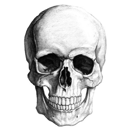 White Skull Drawing png transparent
