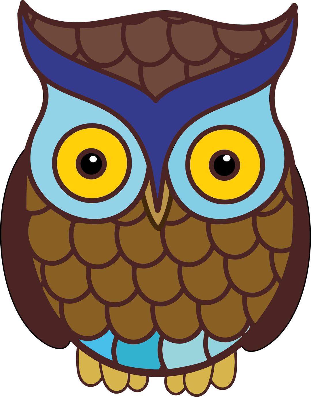 Wide Eyed Owl png transparent