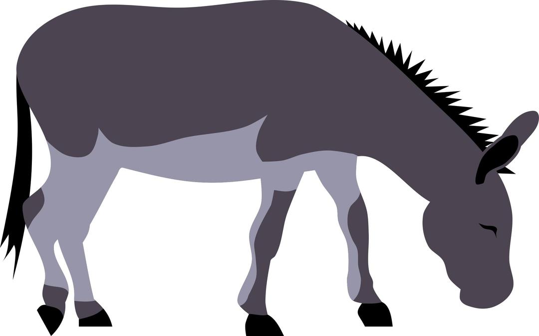 Wild donkey by Rones png transparent