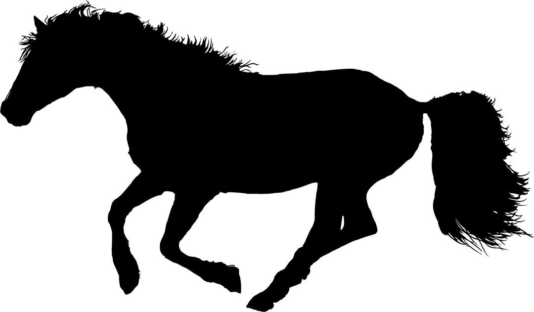Wild Galloping Horse Variation 2 png transparent