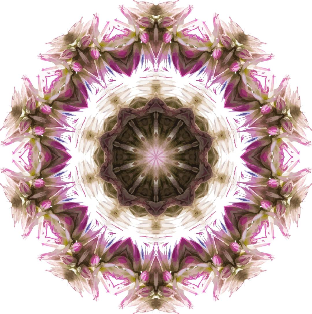 Wildflower kaleidoscope 7 png transparent