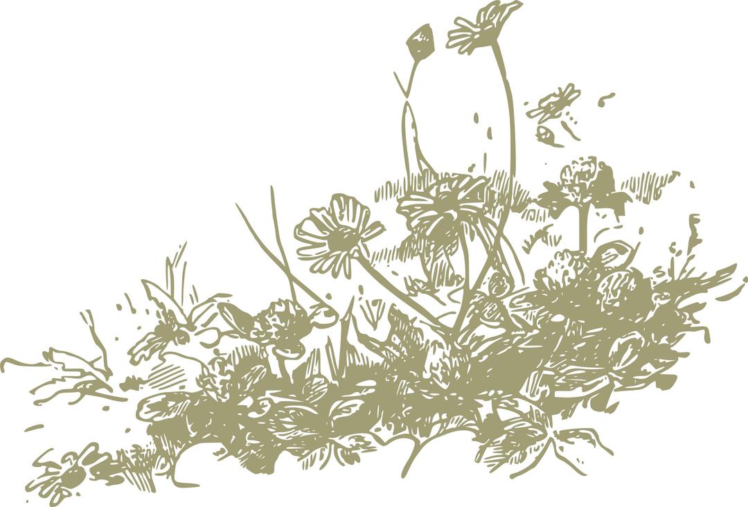 wildflowers png transparent