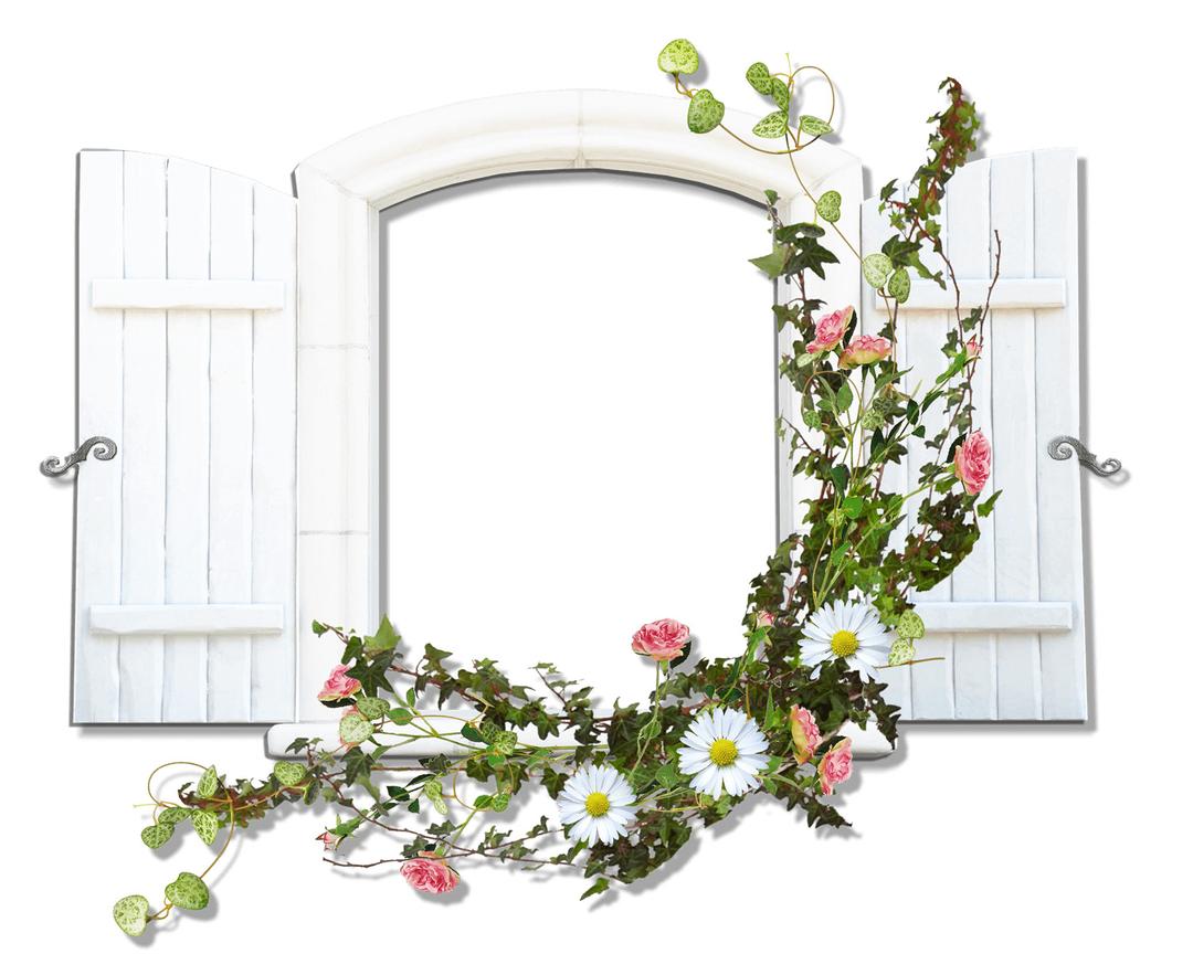 Window With Flowers png transparent