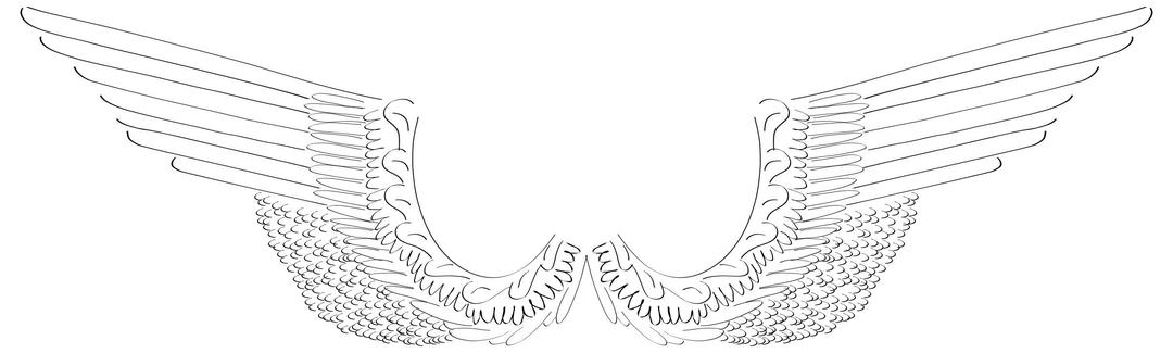 Wings Out png transparent