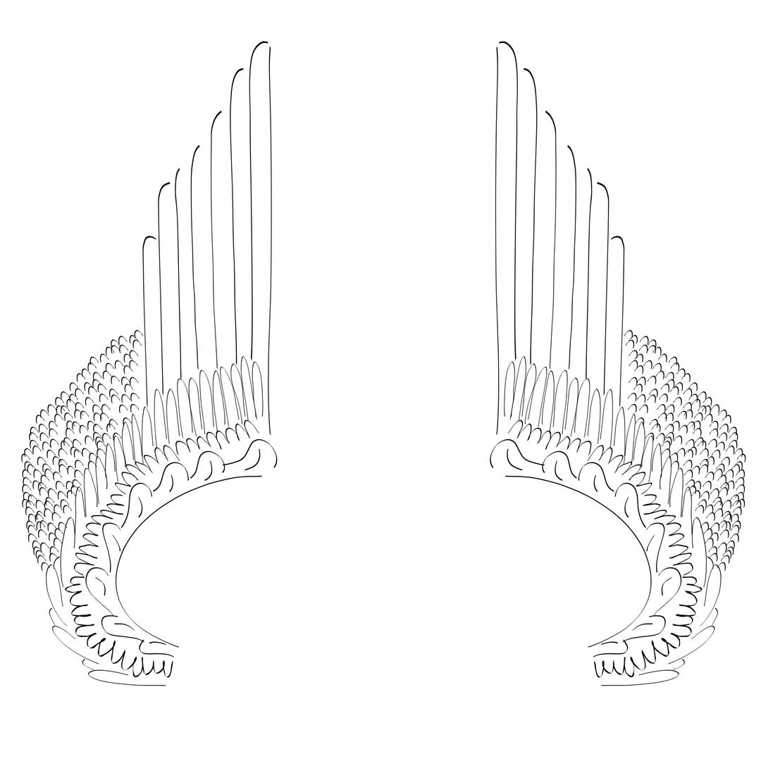 Wings Up png transparent