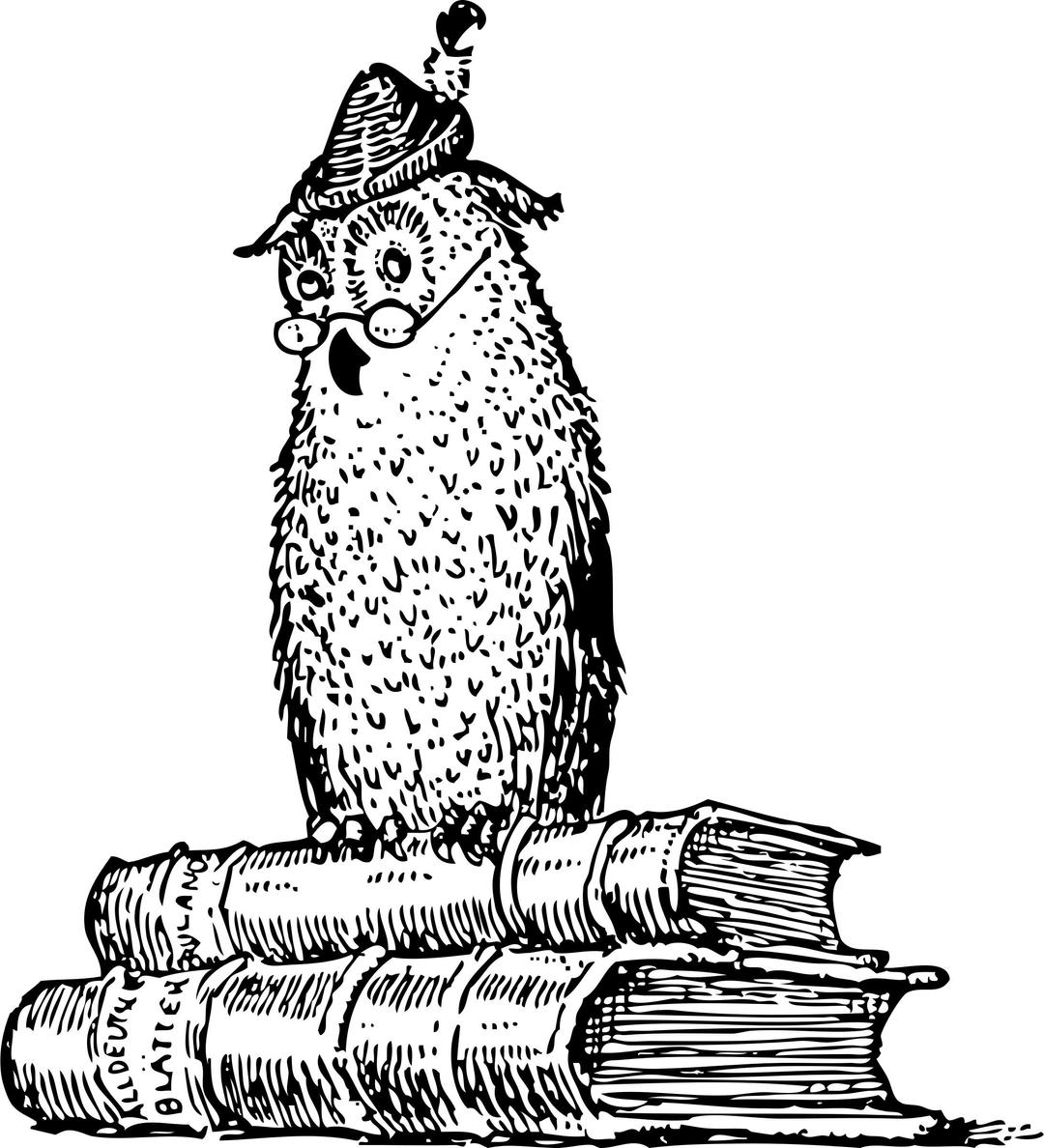 wise owl on books png transparent