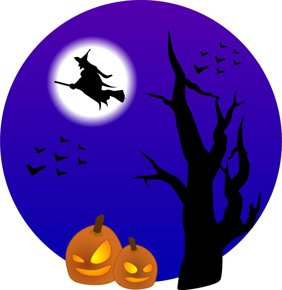 Witch on broom png transparent