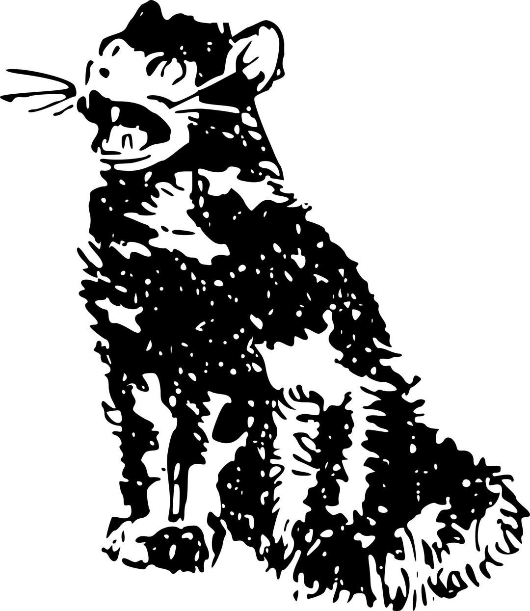 Witch's cat png transparent