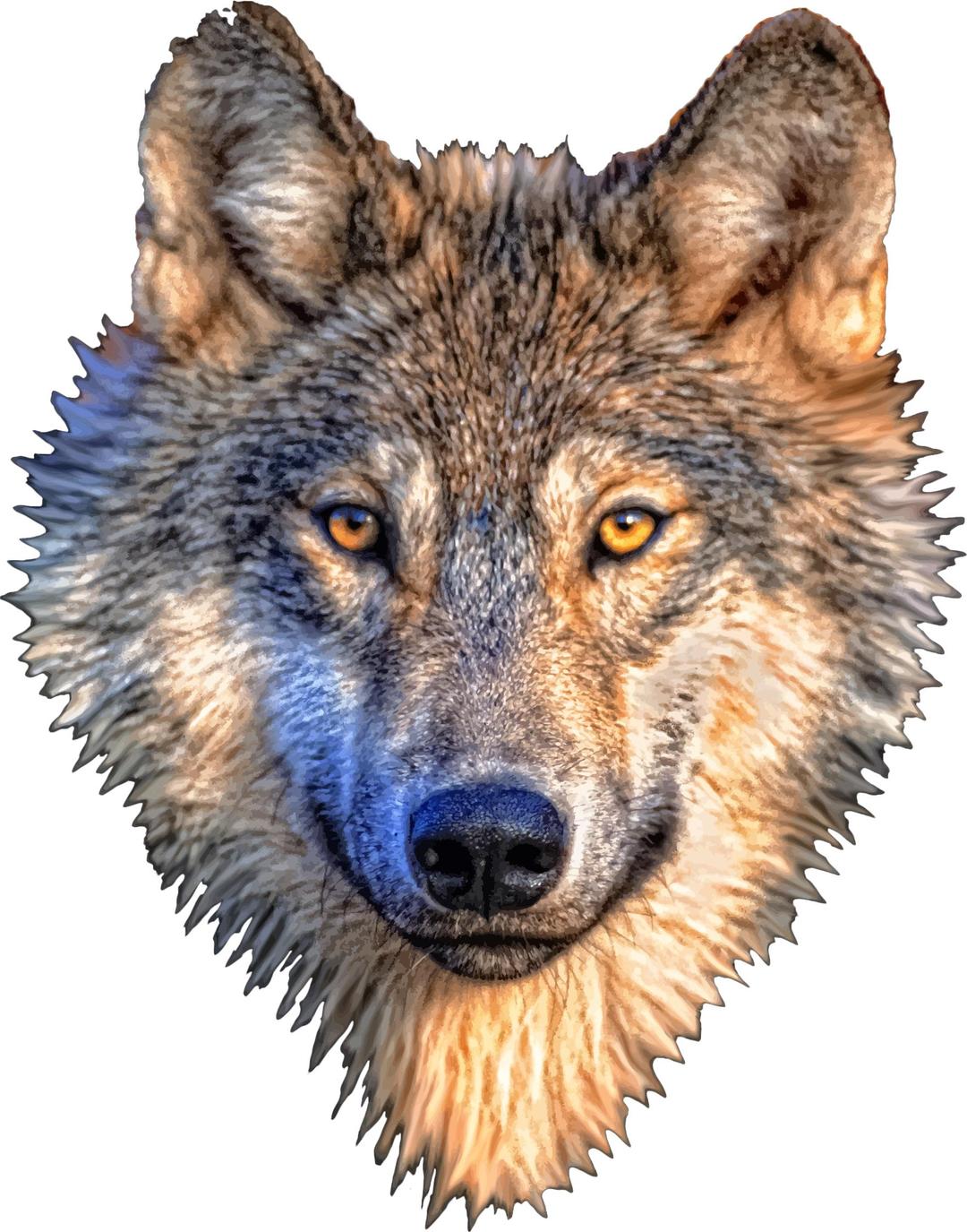 Wolf Head png transparent