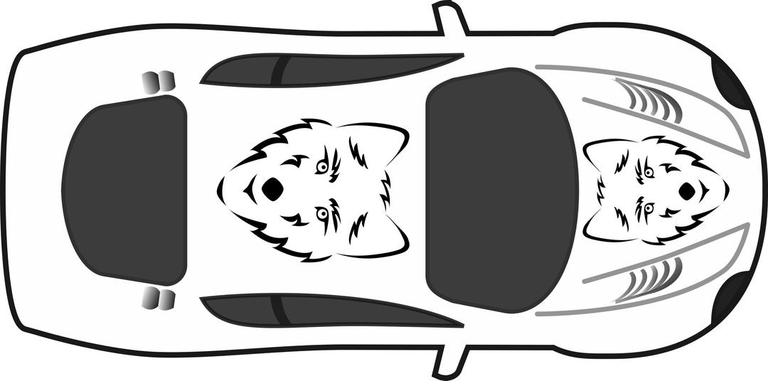 Wolf Paint Job on Car Top View png transparent