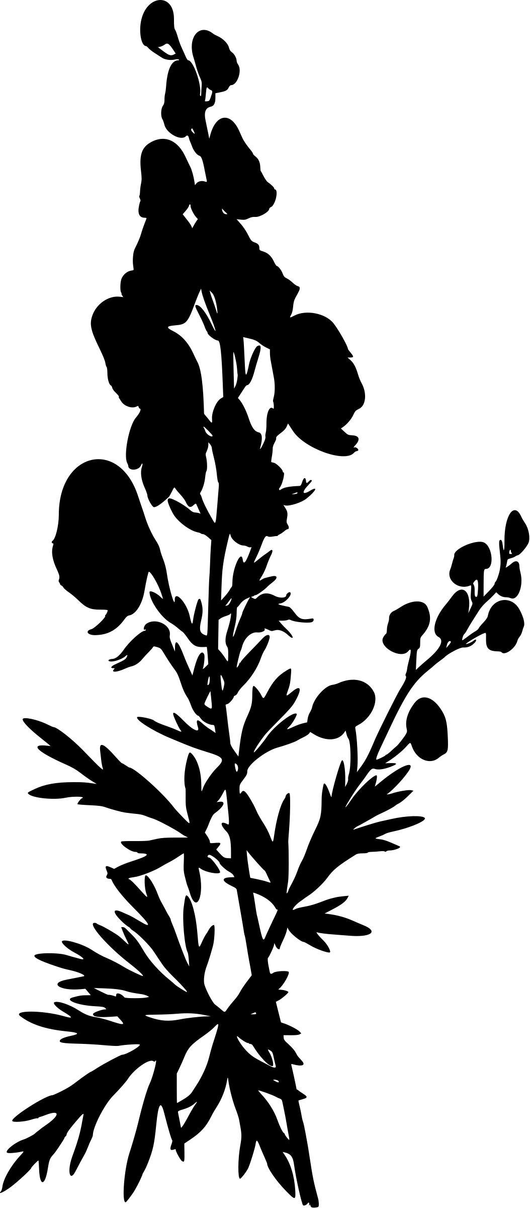 Wolfsbane (silhouette) png transparent