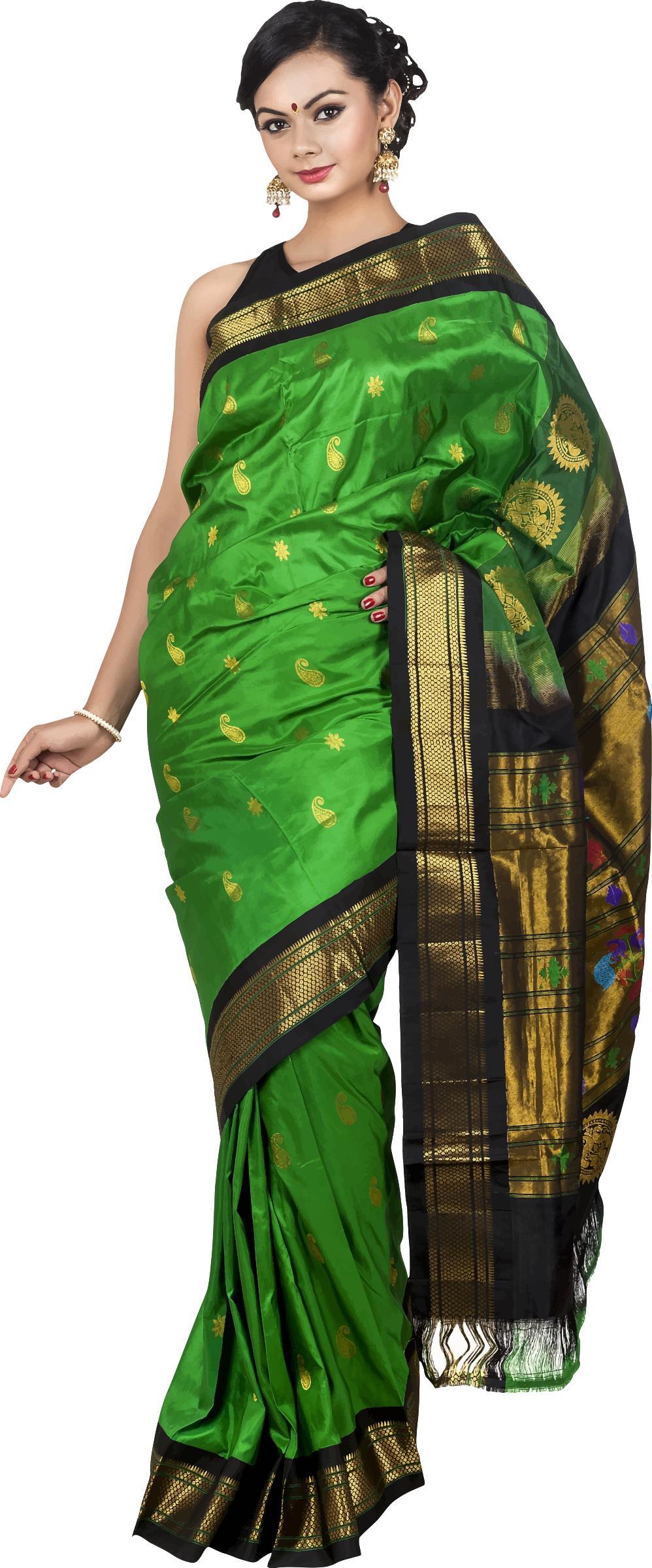 Woman in saree png transparent