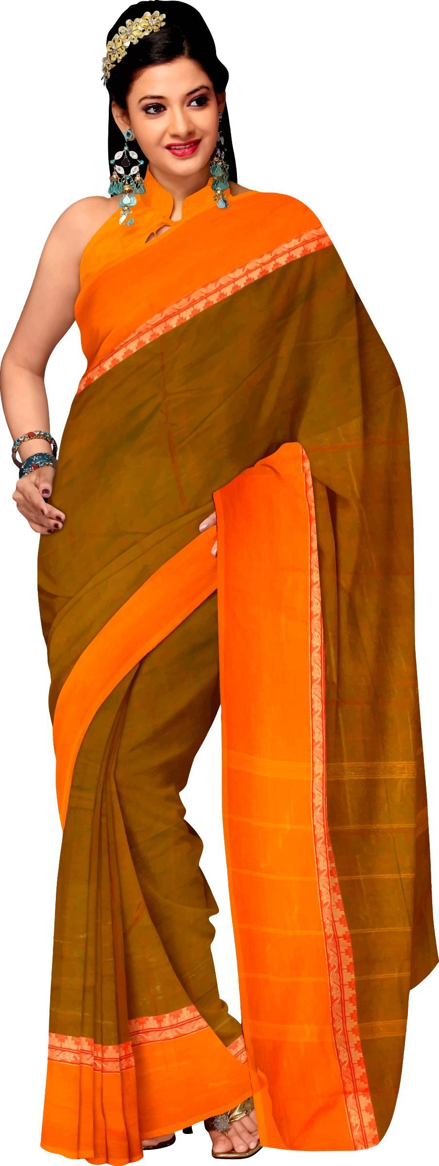 Woman in saree 4 png transparent