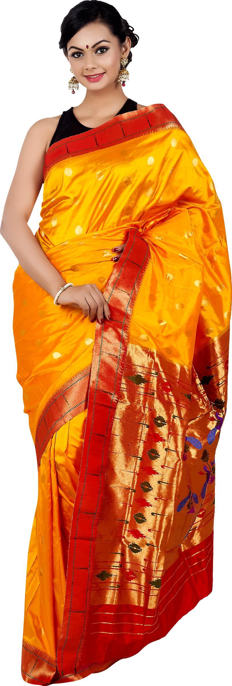 Woman in saree 5 png transparent