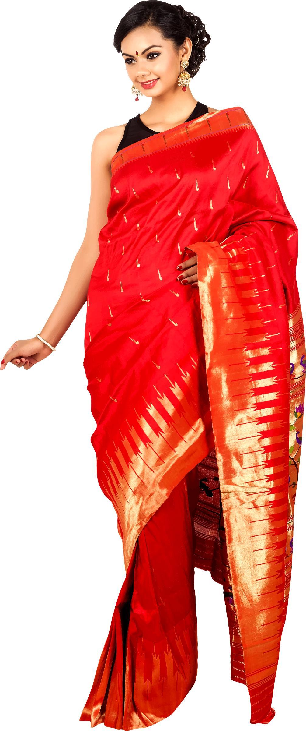 Woman in saree 6 png transparent
