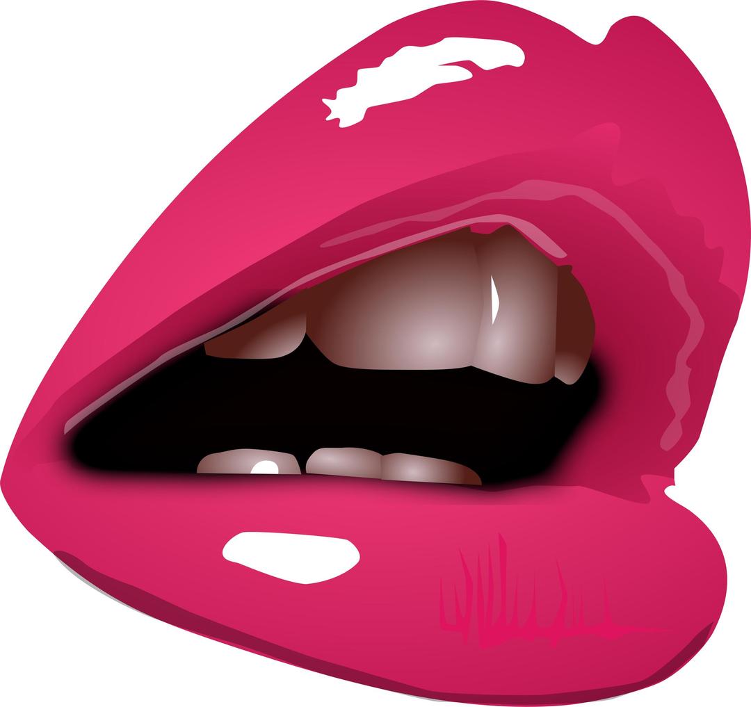 Woman Lips png transparent