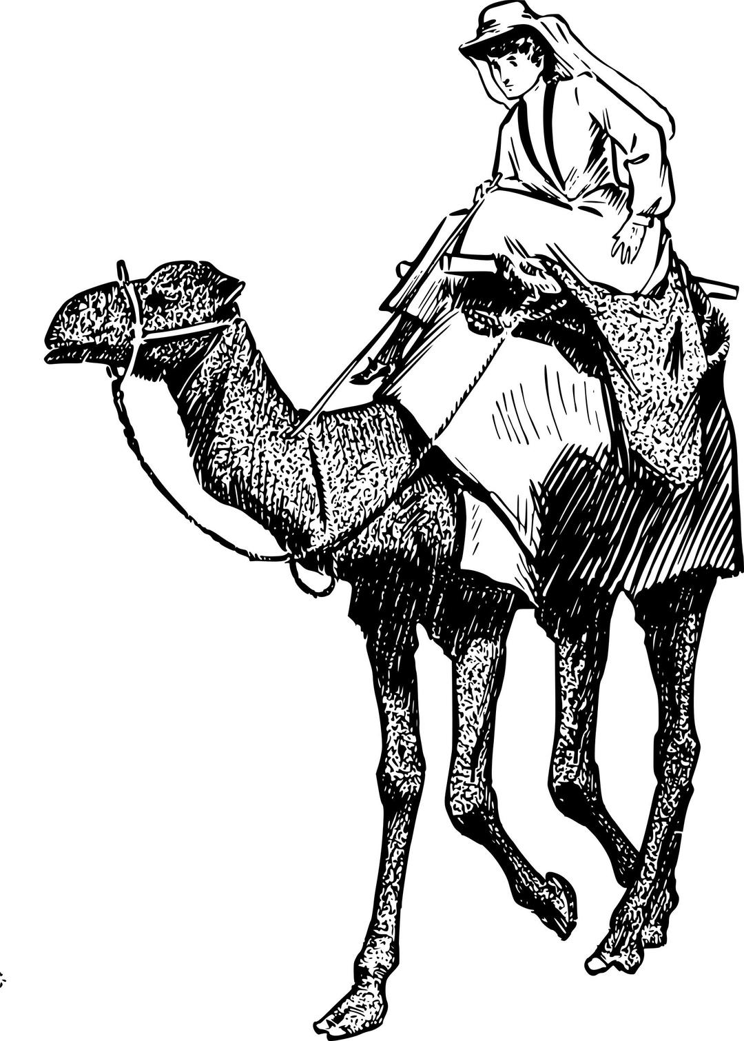 Woman on a Camel png transparent