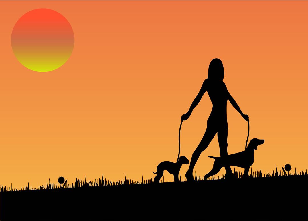 Woman Walking Dogs At Sunset png transparent